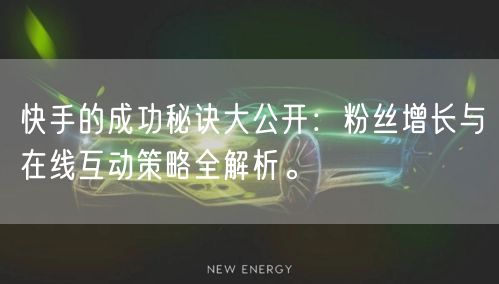 快手的成功秘诀大公开：粉丝增长与在线互动策略全解析。